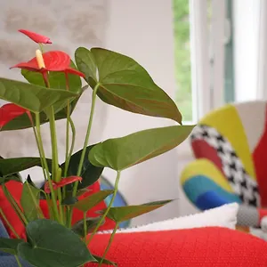 https://apartment-kogo-split.splithotels.org
